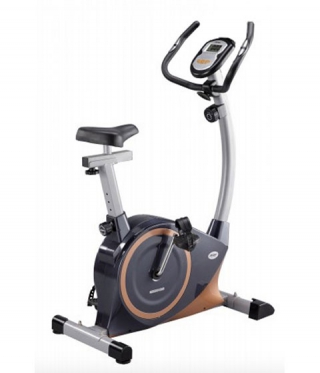 Bike-Ergometer SPARTAN Magnetic 1100